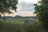 https://www.alphanewberry.com/files/gimgs/th-4_TRUCK_SUNRISE.jpg